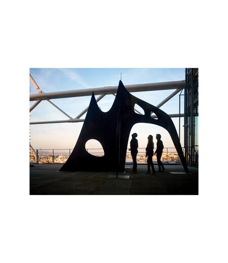 Sortie culturelle à Paris : 1 entrée pour le Centre Pompidou - SMARTBOX - Coffret Cadeau Sport & Aventure