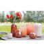 Vase Design Boule Verre 13cm Rouge-2