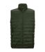 Veste Sans Manches Hillpack Homme Kaki Foncé Regatta-1