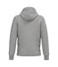 Veste Adulte Gris Clair Chiné Native Spirit-2