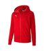 Sweat À Capuche Teamgoal Homme Rouge Puma-1