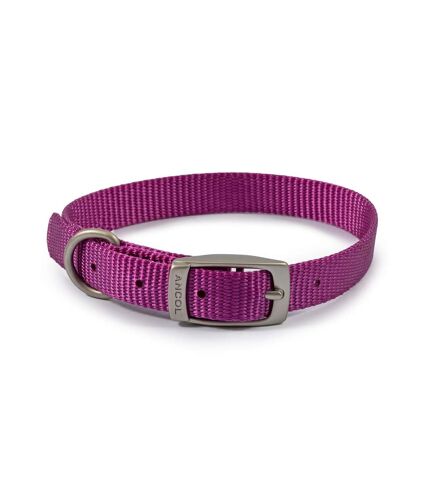 Ancol Viva Dog Collar (Purple) (5) - UTTL5181