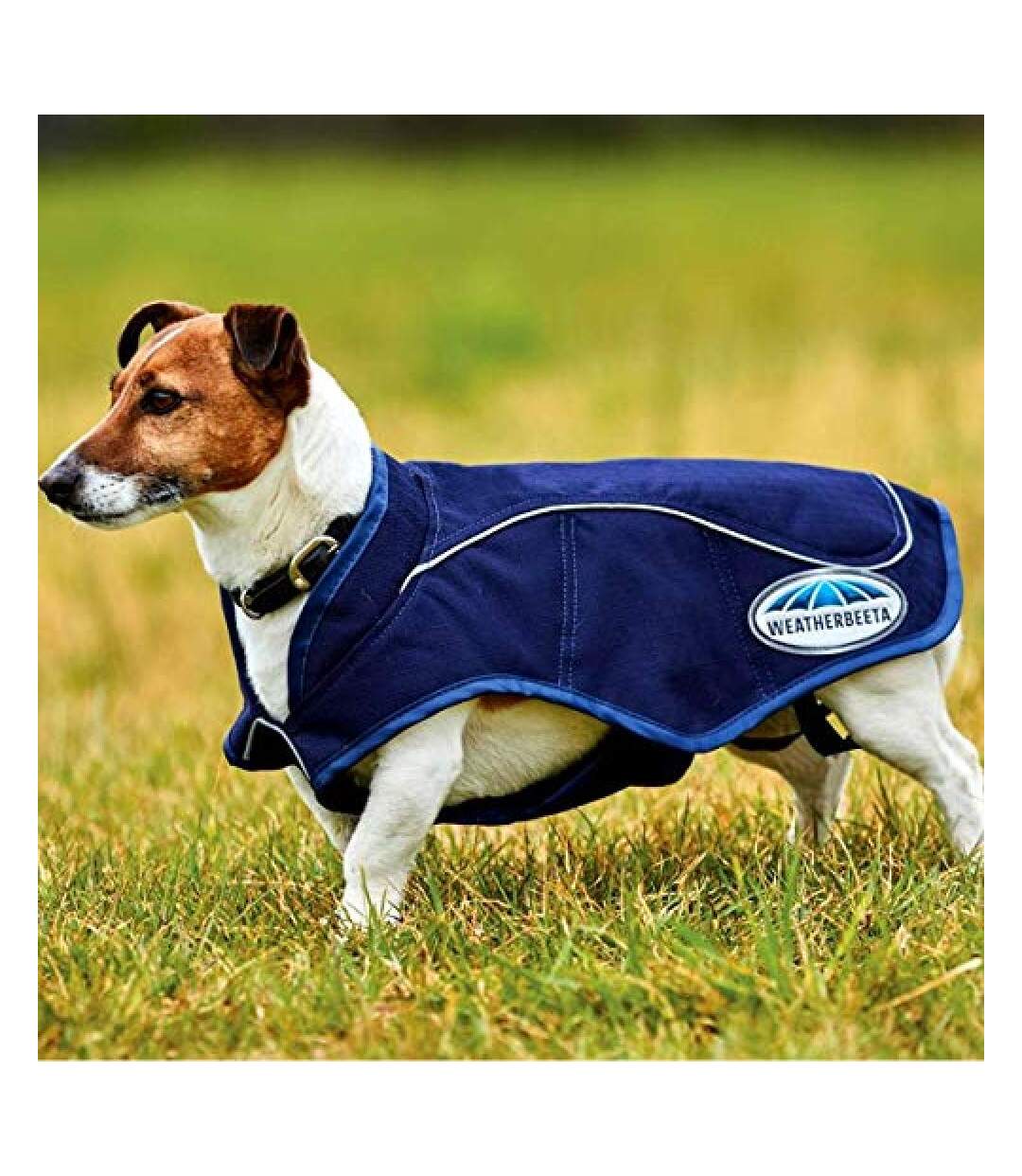 Weatherbeeta 1200d Exercise Dog Coat (75cm) (Navy) - UTWB540-2