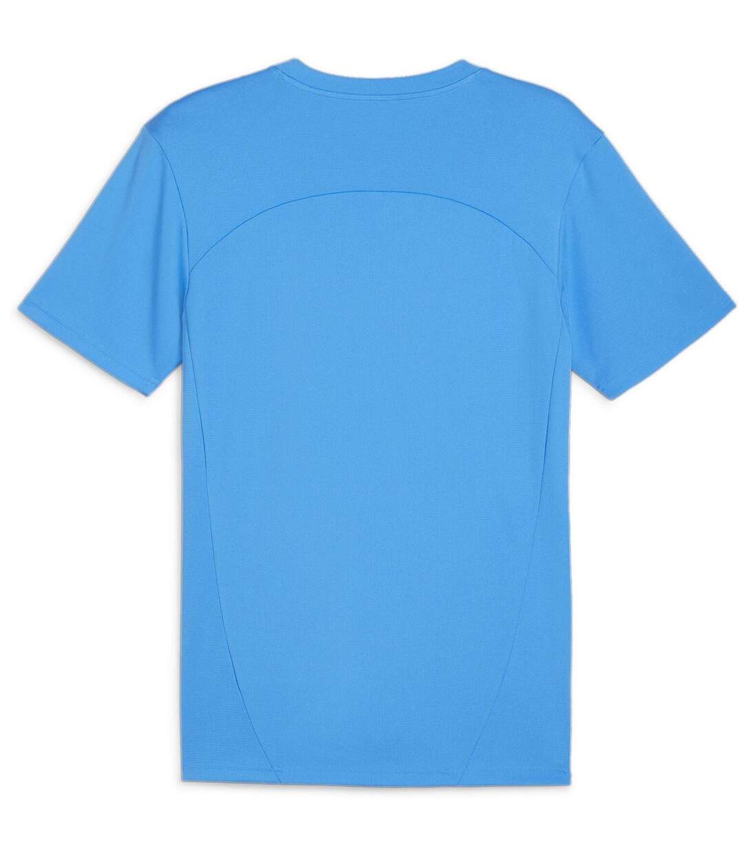 Mens Teamfinal Training T-shirt Blue Puma-2