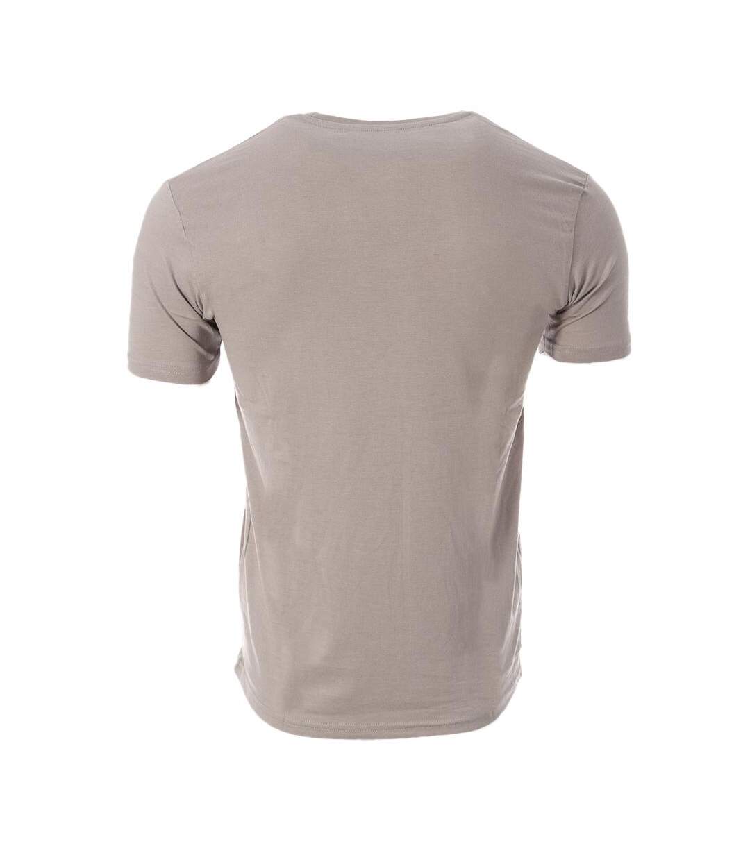 T-shirt Gris Homme Best Mountain 04 - L