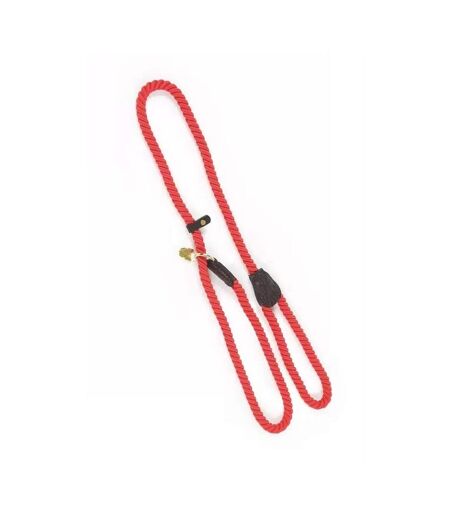 Rope leather dog slip lead one size red Digby & Fox