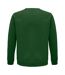 Sweat Space Adulte Vert Bouteille SOLS-2