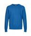 Mens Sweatshirt Peacock CastlePoint-2