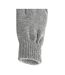 Gants Adulte L-xl Lavande Beechfield-2