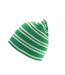 Bonnet Team Blanc Vert Kelly Result Winter Essentials-1