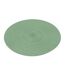 Set de Table Uni Zebulon 35cm Vert Verveine-1