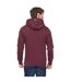 Mens Hellmere Hoodie Rum Raisin Crosshatch-4