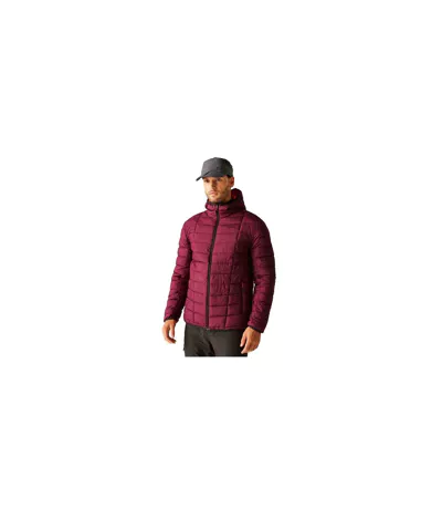 Doudoune Matelassée Asper Homme Pourpre Foncé Regatta