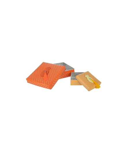 Lot de 2 Boîtes en Métal Gigognes 25cm Orange