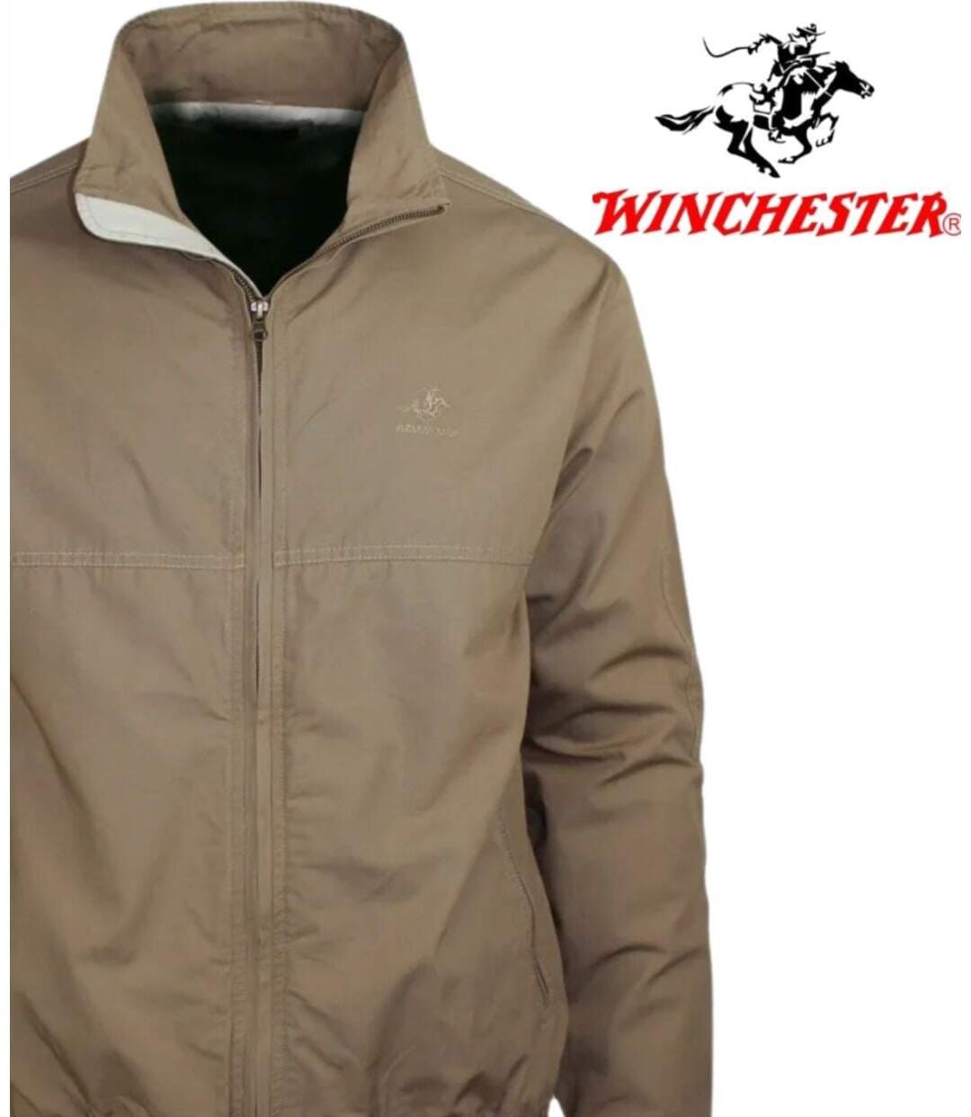 WINCHESTER JONAS1B — Blouson zippé beige : confort respirant en pur coton-4
