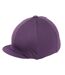 Shires Couverture du chapeau (Prune) - UTER802