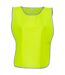 Tabard Adulte Jaune Yoko-1