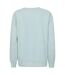 Womens/ladies Strath Melange Supersoft Sweatshirt Pale Green Mountain Warehouse-3