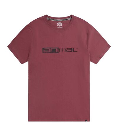 Animal Mens Jacob Logo T-Shirt (Burgundy)