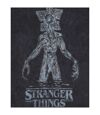 Stranger Things Womens/Ladies Acid Wash T-Shirt (Charcoal)