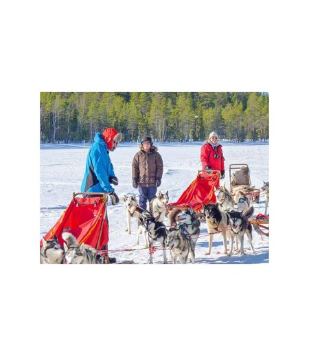 3 jours en Suède : observation des aurores boréales et balade en chiens de traîneau pour 2 personnes - SMARTBOX - Coffret Cadeau Séjour