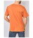 T-Shirt manches courtes-3