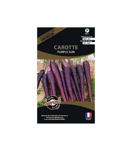 Graines potagères premium carotte Purple sun