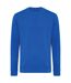 Unisex adult zion recycled cotton crew neck sweatshirt royal blue Iqoniq-1