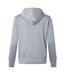 Womens/ladies Club Lightweight Hoodie Classic Marl Canterbury-3