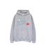Disney - Sweat à capuche THE LITTLE MERMAID ARIEL - Femme (Gris sportif) - UTBI9566-1