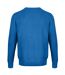 Mens Sweatshirt Peacock CastlePoint-3