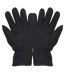 FLOSO Mens Winter Thermal Fleece Gloves (3M 40g) (Black)