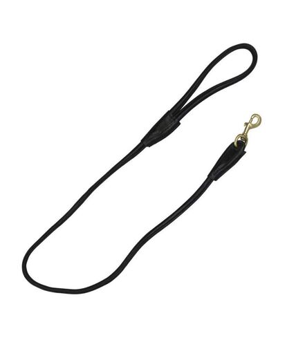 Superior roll leather dog lead one size black/brass Benji & Flo