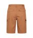 Mountain Warehouse Mens Lakeside Cargo Shorts (Teal) - UTMW229