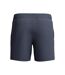 Mens Hyperboom Splice Stripes Swim Shorts Grey Speedo-3