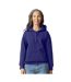 Sweat À Capuche Homme Cobalt Gildan-3