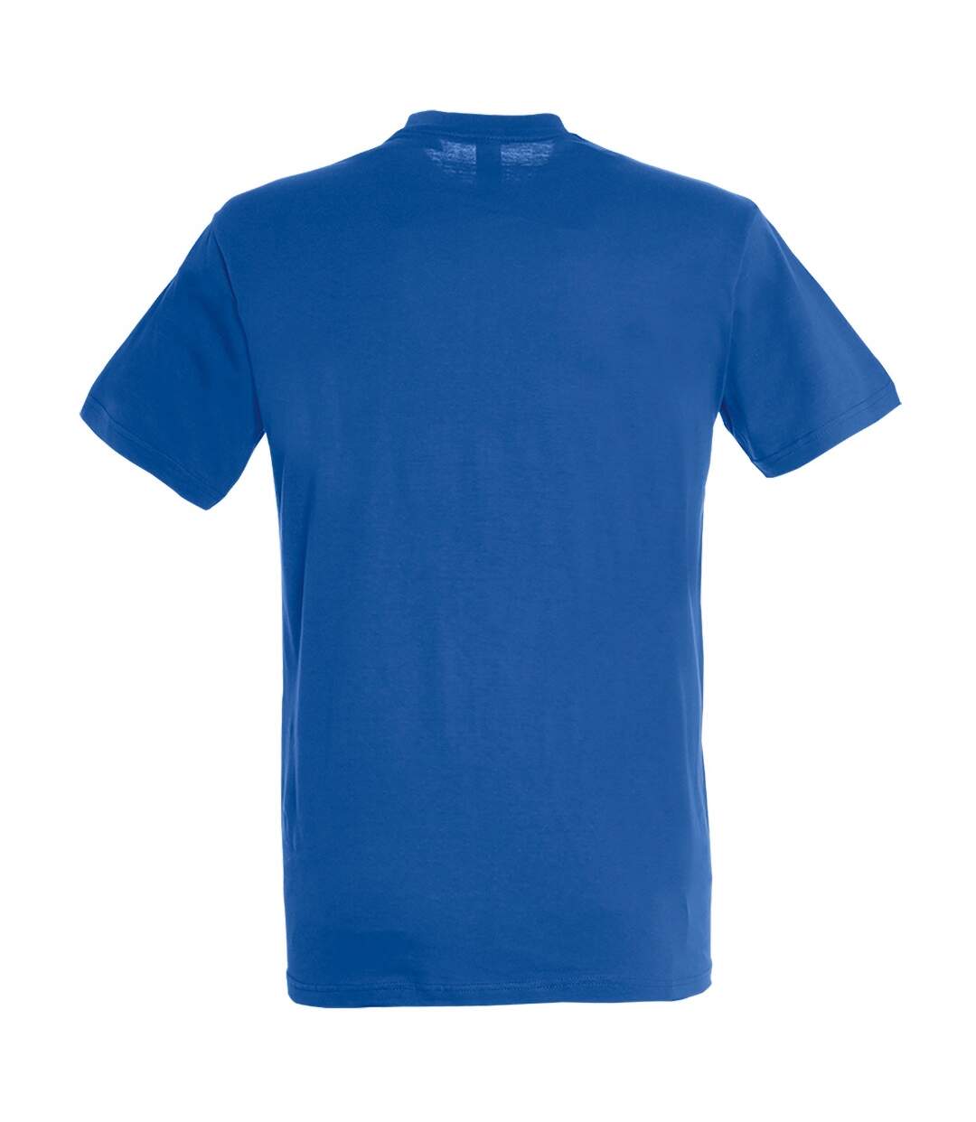 SOLS Mens Regent Short Sleeve T-Shirt (Royal Blue) - UTPC288