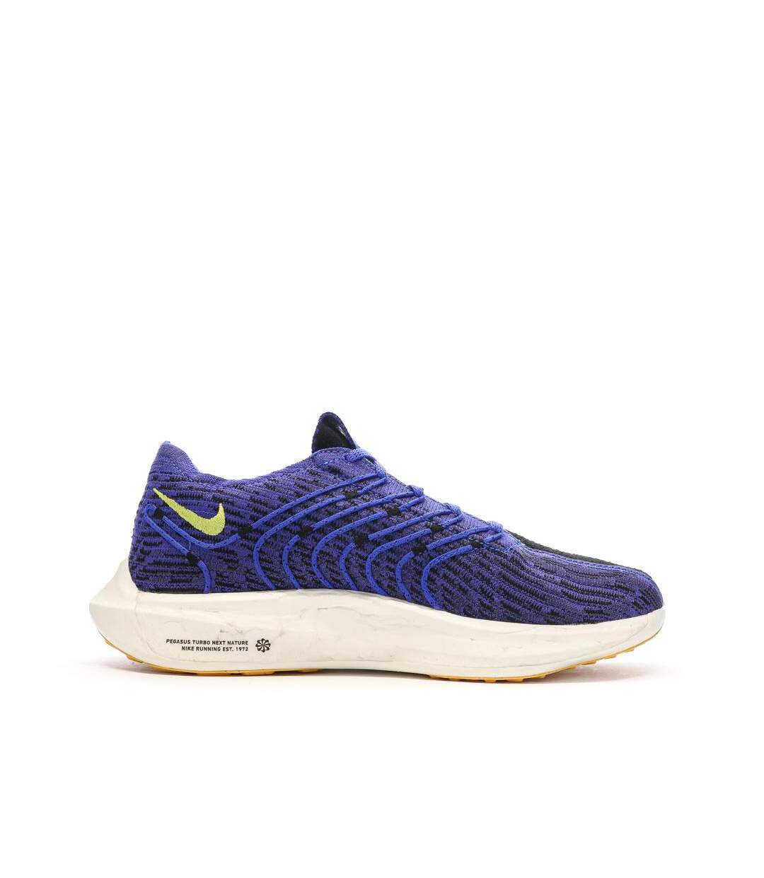 Chaussures de running bleu homme nike pegasus turbo-2