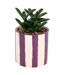 Plante Grasse Artificielle Deep Purple 16cm Violet-1