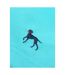 Bewley & Ritch Mens Alden Swim Shorts (Aqua)