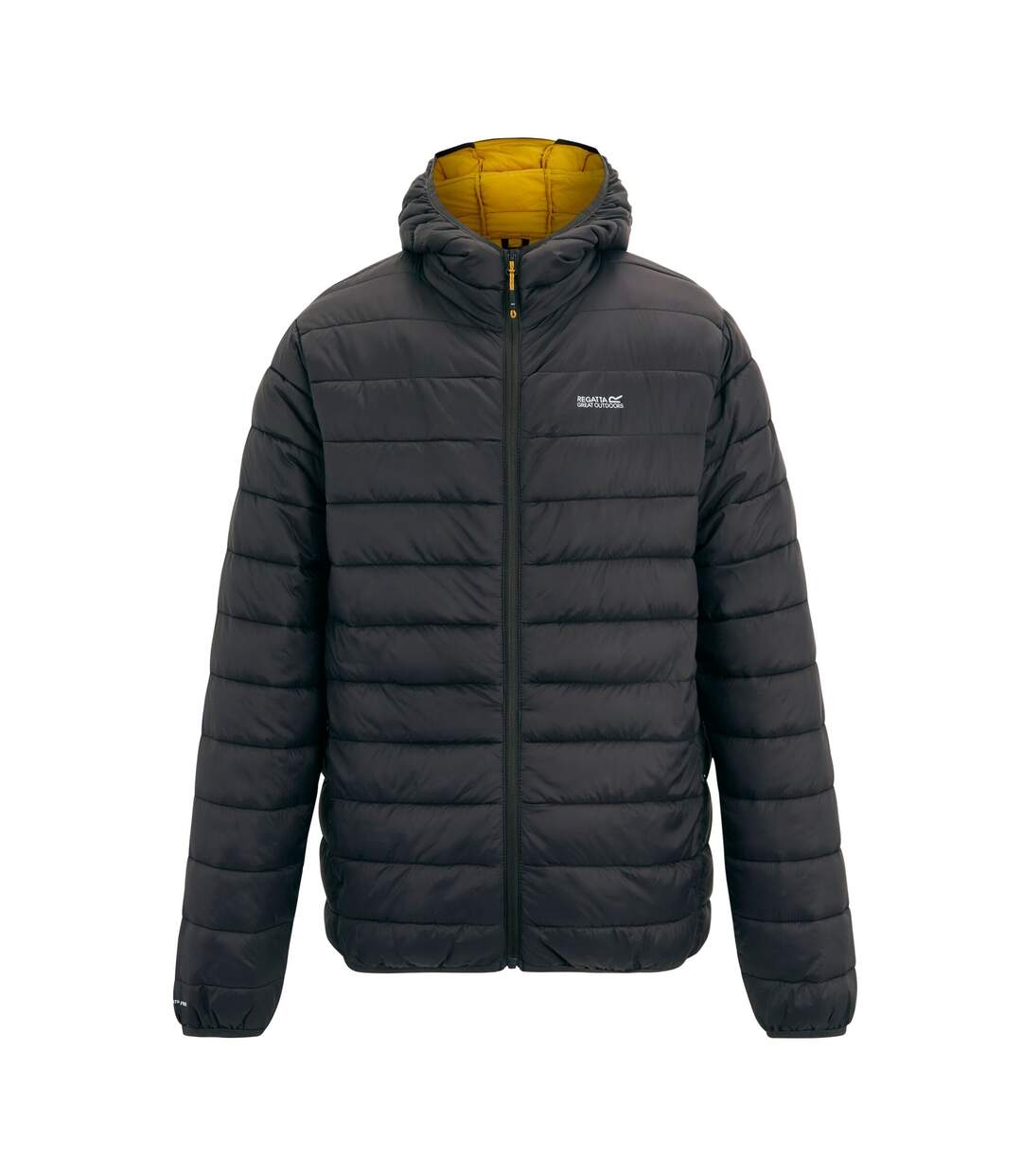 Doudoune Matelassée Marizion Homme Anthracite Jaune Regatta-2