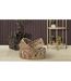 Lot de 3 Plateaux Décoratifs en Rotin Fuji 50cm Naturel-5
