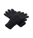 Gants Unisexes Adultes Classic Thinsulate Noir Beechfield-1