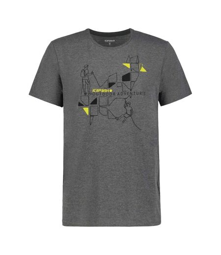 T-shirt Beeville Performance Homme Gris Icepeak