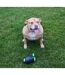 Gioco Rugby Dog Ball (Black/Green) (One Size) - UTRD2337