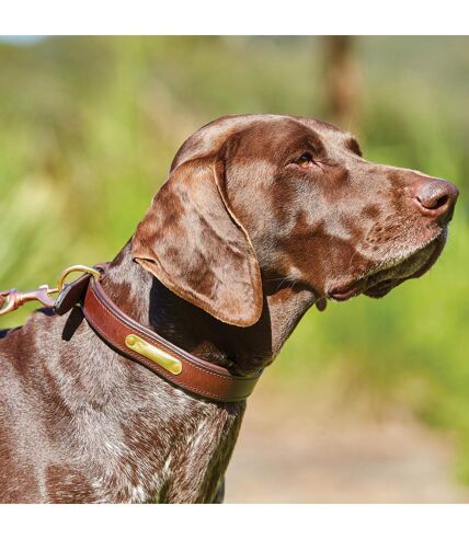 Weatherbeeta Padded Leather Dog Collar (XXL) (Brown) - UTWB1258