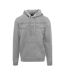 Sweat À Capuche Motif/style Signature Homme Gris Aquascutum-1