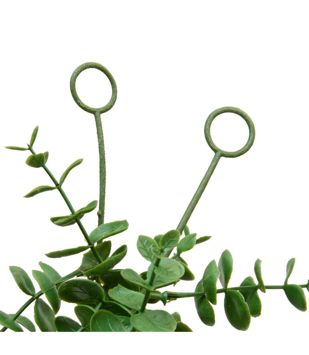 Guirlande d'Eucalyptus Artificiel Walker 170cm Vert-3