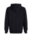 Womens/ladies Club Logo Hoodie Black Canterbury-3
