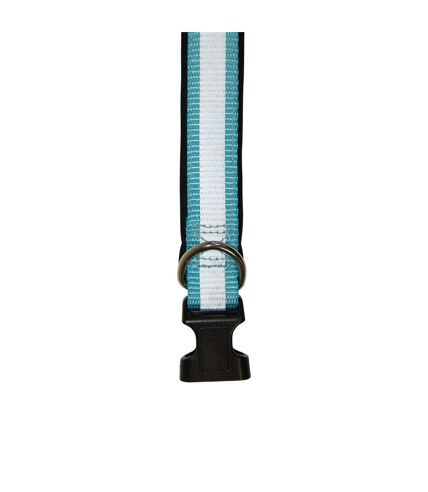 Collier pour chiens m-l bleu Jackson Pet Co